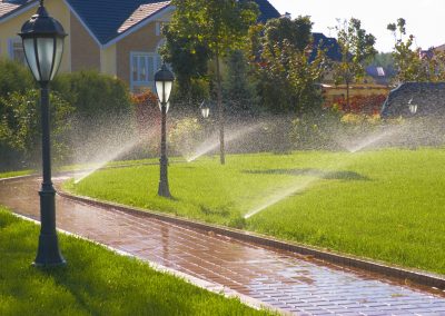 sprinkler of automatic watering in garden